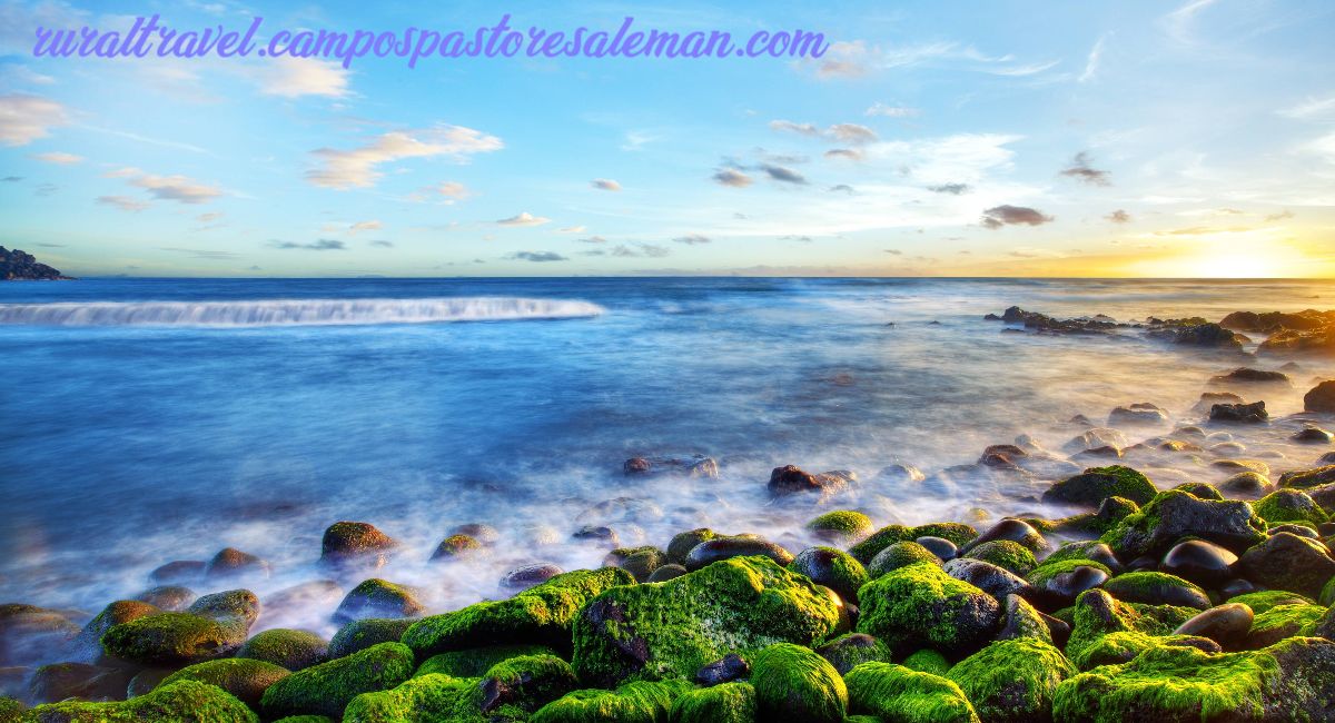 ruraltravel.campospastoresaleman.com